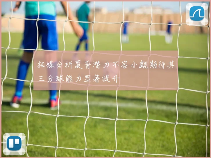 拓媒分析夏普潜力不容小觑期待其三分球能力显著提升