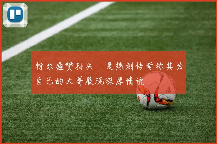 特尔盛赞孙兴慜是热刺传奇称其为自己的大哥展现深厚情谊