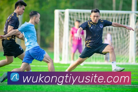 悟空体育发展历程